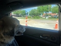 Alex_DrivingLesson-BackSeatDriver (3)